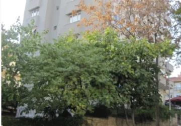 Göztepe Çingi Apartmanı